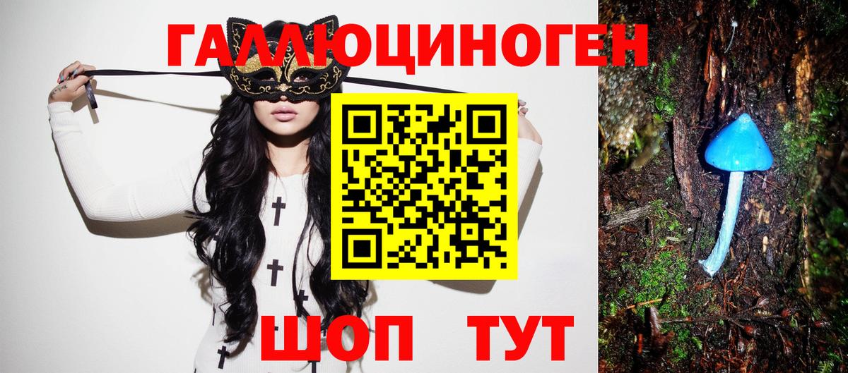 Псилоцибиновые грибы GOLDEN TEACHER  Вход с VPN  купить наркотик  Вязьма 